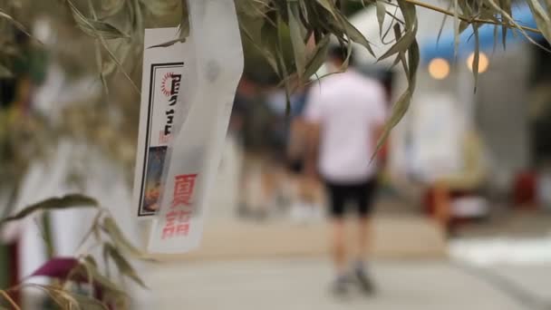 Asakusa Tokio Japón Mayo 2018 Una Ubicación Tradicional Tokio Cámara — Vídeos de Stock