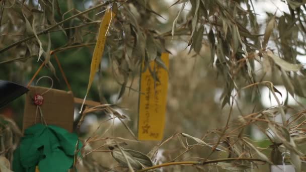 Asakusa Tóquio Japão Maio 2018 Uma Localização Tradicional Tóquio Câmera — Vídeo de Stock