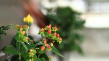 Shinjuku, Tokyo/Japonya - 18th Temmuz 2017: Onun Tokyo geleneksel bir konumda. fotoğraf makinesi: Canon Eos 7d