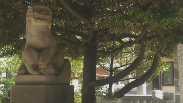 Ikebukuro Tóquio Japão Maio 2018 Uma Localização Tradicional Tóquio Câmera — Vídeo de Stock