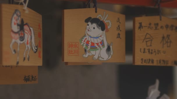 2018 その東京で伝統的な場所 カメラ キヤノン Eos Mark4 — ストック動画