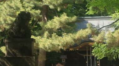Nerima, Tokyo/Japonya - 11th Mayıs 2018: Onun Tokyo geleneksel bir konumda. fotoğraf makinesi: Canon Eos 5d mark4