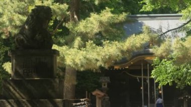 Nerima, Tokyo/Japonya - 11th Mayıs 2018: Onun Tokyo geleneksel bir konumda. fotoğraf makinesi: Canon Eos 5d mark4