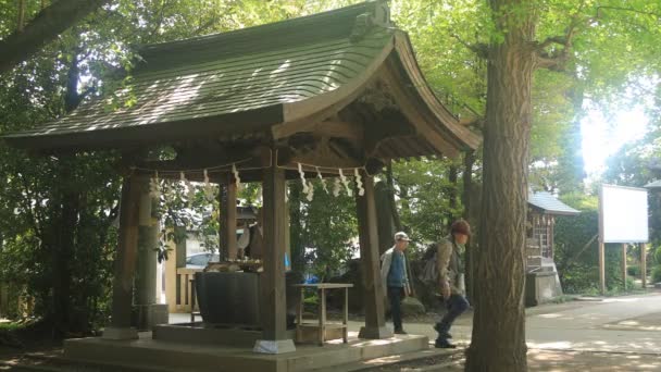 Nerima Τόκιο Ιαπωνία 18Η Μαΐου 2018 Μια Παραδοσιακή Τοποθεσία Στο — Αρχείο Βίντεο