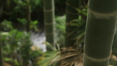 Higashikurume, Tokyo/Japonya - 11th Temmuz 2018: Onun Tokyo geleneksel bir konumda. fotoğraf makinesi: Canon Eos 5d mark4