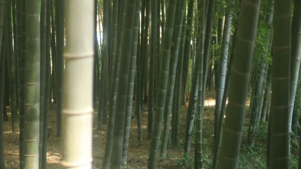 Higashikurume Tokio Japón Julio 2018 Una Ubicación Tradicional Tokio Cámara — Vídeos de Stock