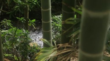 Higashikurume, Tokyo/Japonya - 11th Temmuz 2018: Onun Tokyo geleneksel bir konumda. fotoğraf makinesi: Canon Eos 5d mark4
