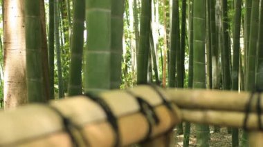 Higashikurume, Tokyo/Japonya - 11th Temmuz 2018: Onun Tokyo geleneksel bir konumda. fotoğraf makinesi: Canon Eos 5d mark4