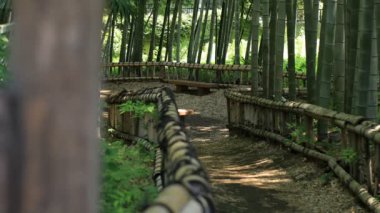 Higashikurume, Tokyo/Japonya - 11th Temmuz 2018: Onun Tokyo geleneksel bir konumda. fotoğraf makinesi: Canon Eos 5d mark4