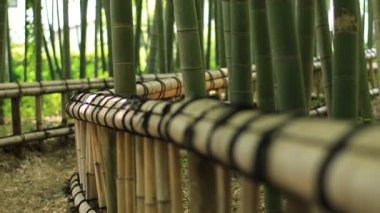 Higashikurume, Tokyo/Japonya - 11th Temmuz 2018: Onun Tokyo geleneksel bir konumda. fotoğraf makinesi: Canon Eos 5d mark4