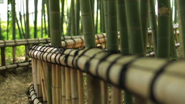 Higashikurume Tokyo Japan Juli 2018 Ist Ein Traditioneller Standort Tokyo — Stockvideo