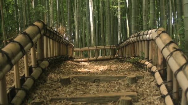 Higashikurume Токіо Японія 2018 Липня Своїм Традиційним Розташуванням Токіо Камери — стокове відео