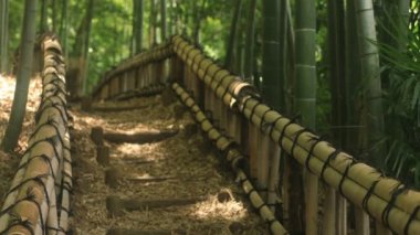 Higashikurume, Tokyo/Japonya - 11th Temmuz 2018: Onun Tokyo geleneksel bir konumda. fotoğraf makinesi: Canon Eos 5d mark4