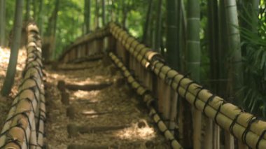 Higashikurume, Tokyo/Japonya - 11th Temmuz 2018: Onun Tokyo geleneksel bir konumda. fotoğraf makinesi: Canon Eos 5d mark4