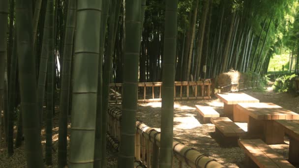 Higashikurume Tóquio Japão Julho 2018 Uma Localização Tradicional Tóquio Câmera — Vídeo de Stock