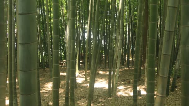 Higashikurume, Tokyo / Japon - 11 juillet 2018 : C'est un lieu traditionnel à Tokyo. appareil photo : Canon EOS 5D mark4 