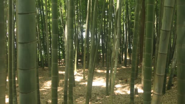 Higashikurume Tokio Japón Julio 2018 Una Ubicación Tradicional Tokio Cámara — Vídeos de Stock