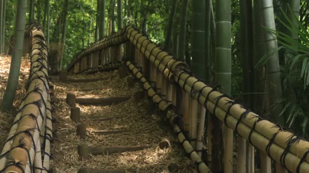 Higashikurume Tokio Japón Julio 2018 Una Ubicación Tradicional Tokio Cámara — Vídeo de stock