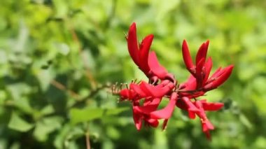 Shinjuku, Tokyo/Japonya - 20th Temmuz 2017: Onun bir doğa yerde Tokyo. fotoğraf makinesi: Canon Eos 7d