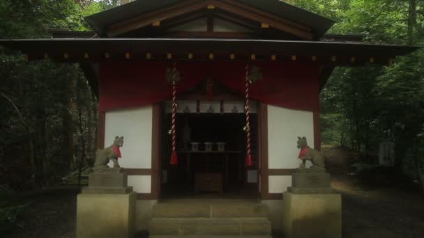 Chichibu Saitama Japan August 1Th 2017 Its Japanese Shrine Saitama — Stock Video