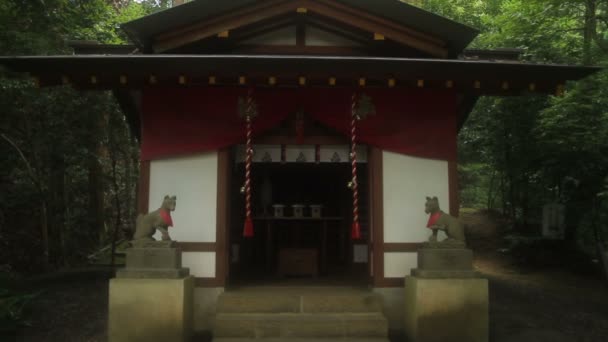 Chichibu Saitama Japón Agosto 2017 Santuario Japonés Saitama Japón Cámara — Vídeos de Stock