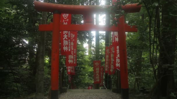 Chichibu Σαϊτάμα Ιαπωνίας Αύγουστος 2017 Πύλη Τορίι Στο Ιαπωνικό Ναός — Αρχείο Βίντεο