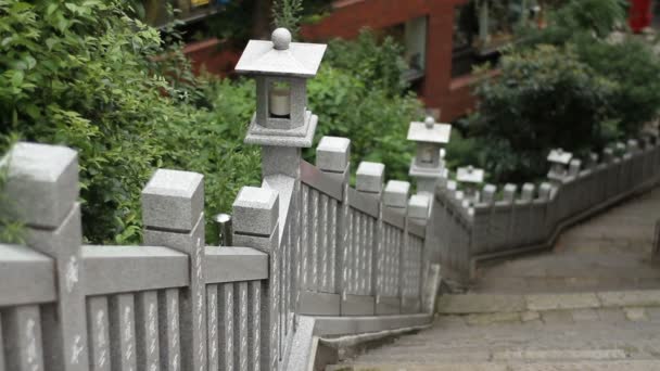 Toranomon Tokio Japón Agosto 2017 Una Planta Alta Santuario Japonés — Vídeo de stock