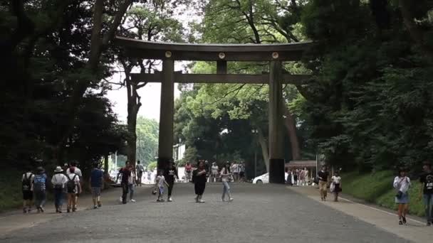 Yoyogi Tokio Japonsko Srpna 2017 Jeho Torii Japonské Svatyni Meijijingu — Stock video