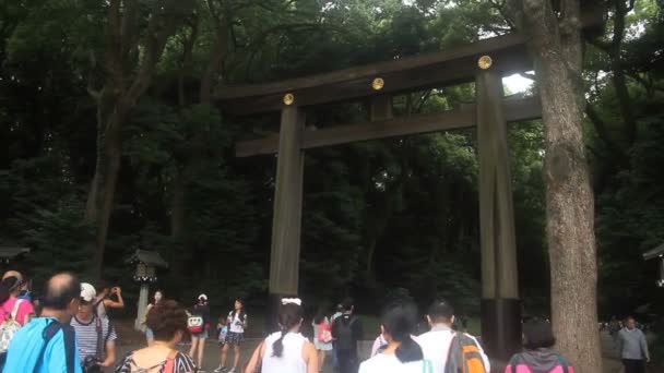 Йойогі Токіо Японія 2017 Серпня Його Torii Shrine Японської Meijijingu — стокове відео