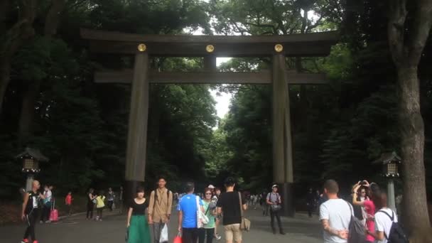 Yoyogi Tokyo Japon Août 2017 Est Torii Sanctuaire Japonais Meijijingu — Video