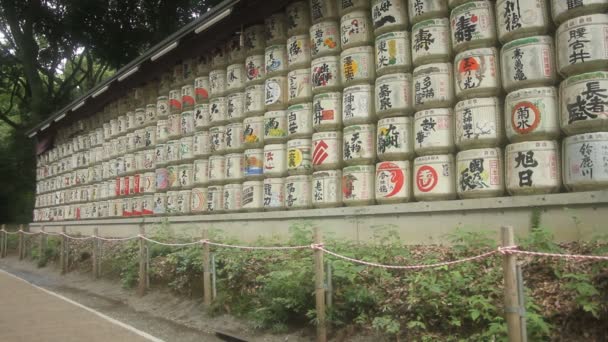 Yoyogi Tokio Japón Agosto 2017 Sus Ofrendas Santuario Japonés Meijijingu — Vídeos de Stock