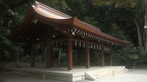 Yoyogi Tokio Japón Agosto 2017 Templo Templo Japonés Tokio Cámara — Vídeos de Stock