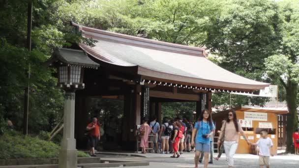 Yoyogi Tokio Japón Agosto 2017 Una Chozuya Santuario Japonés Meijijingu — Vídeo de stock