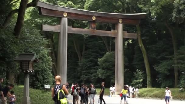Yoyogi Tóquio Japão Agosto 2017 Torii Santuário Japonês Meijijingu Tóquio — Vídeo de Stock