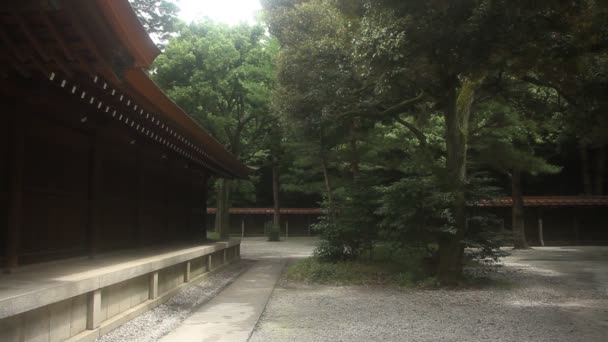 Yoyogi Tokio Sierpnia 2017 2Th Jego Świątyni Japoński Świątyni Tokio — Wideo stockowe