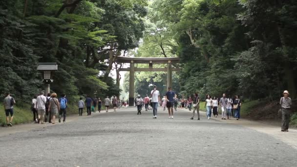 Yoyogi Tokyo Japon Août 2017 Est Torii Sanctuaire Japonais Meijijingu — Video