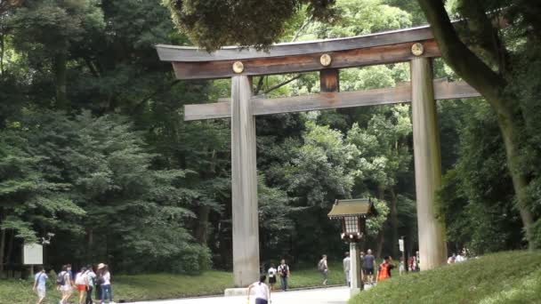 Yoyogi Tóquio Japão Agosto 2017 Torii Santuário Japonês Meijijingu Tóquio — Vídeo de Stock