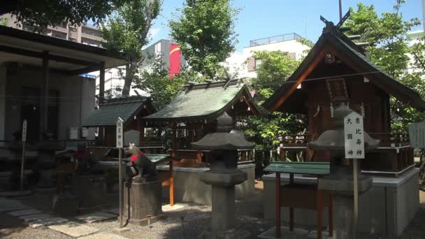 District Koutou Tokyo Japon Juillet 2017 Son Emplacement Traditionnel Tokyo — Video