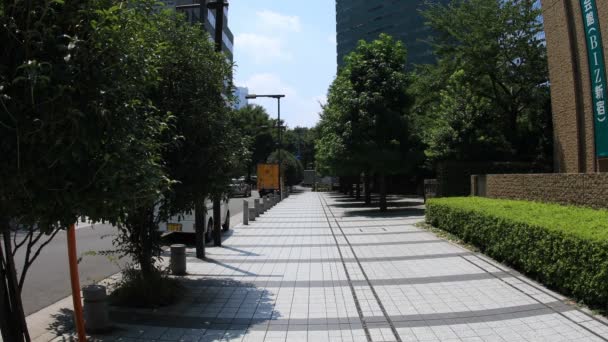 Σιντζούκου Τόκιο Ιαπωνίας Αύγουστος 2018 Μια Πόλη Τοποθεσία Στο Τόκιο — Αρχείο Βίντεο