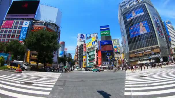 Shibuya Tokio Japonsko Srpna 2018 Její Umístění Města Tokiu Časová — Stock video