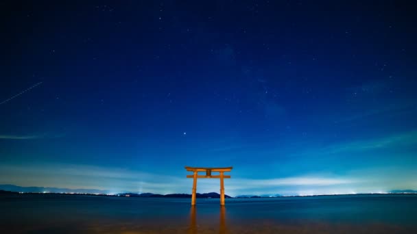 District Takashima Shiga Japon Août 2018 Son Torii Dans Lac — Video