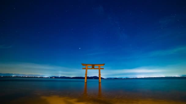 Takashima Distrito Shiga Japão Agosto 2018 Torii Lago Shiga Japão — Vídeo de Stock