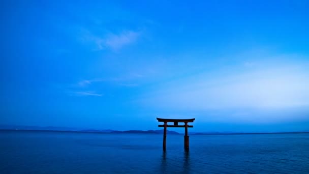 Takashima Distrito Shiga Japão Agosto 2018 Torii Lago Shiga Japão — Vídeo de Stock