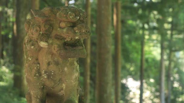 Itadori Distrito Gifu Japão Agosto 2018 Cão Guardião Estátua Santuário — Vídeo de Stock