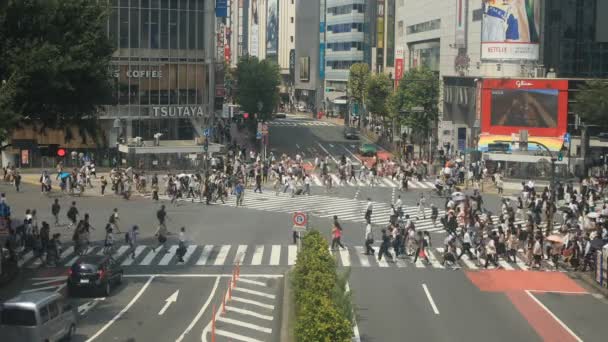 Σιμπούγια Τόκιο Ιαπωνίας Αύγουστος 2018 Την Μια Πόλη Τοποθεσία Στο — Αρχείο Βίντεο