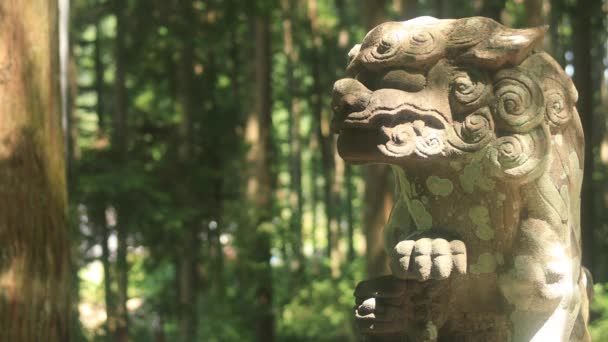 Distrito Itadori Gifu Japón Agosto 2018 Perro Guardián Estatua Santuario — Vídeos de Stock