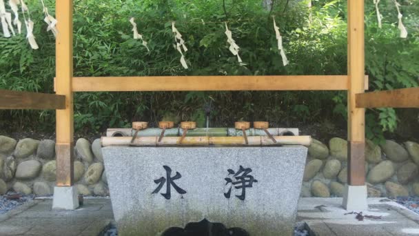 Συνοικία Itadori Gifu Ιαπωνία 2018 Αυγούστου Μια Γούρνα Καθαρισμού Στο — Αρχείο Βίντεο