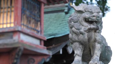 Takashima district, Shiga/Japonya - 7th Ağustos 2018: onun Shiga Japonya'da Japon tapınak bir heykel koruyucu köpek. fotoğraf makinesi: Canon Eos 5d mark4