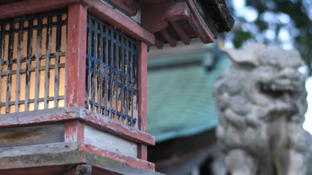 Distrito Takashima Shiga Japón Agosto 2018 Perro Guardián Estatua Santuario — Vídeo de stock