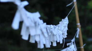 Takashima district, Shiga/Japonya - 7th Ağustos 2018: onun kahin, Shiga Japonya'da Japon tapınak. fotoğraf makinesi: Canon Eos 5d mark4